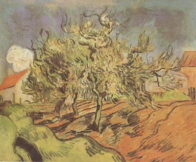 Vincent Van Gogh Landscape with Three and a House (nn04)